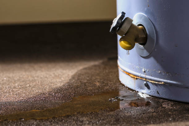Best Ceiling water damage repair  in South Wilton, CT