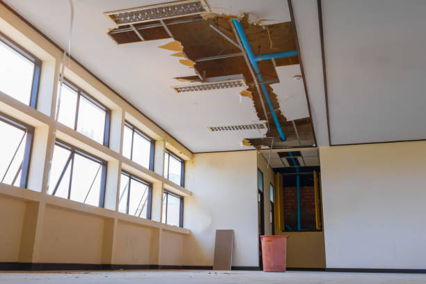 Best Flood damage cleanup  in South Wilton, CT