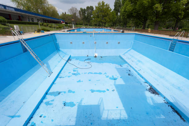 Best Water damage cleanup near me  in South Wilton, CT