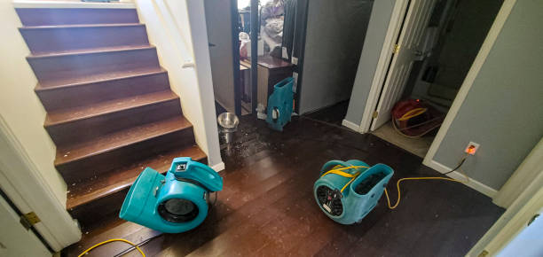 Best Water damage cleanup near me  in South Wilton, CT