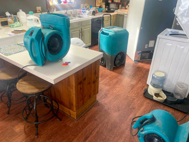  South Wilton, CT Water damage restoration Pros