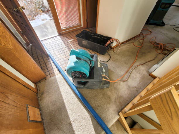 Sewage cleanup and water damage restoration in CT