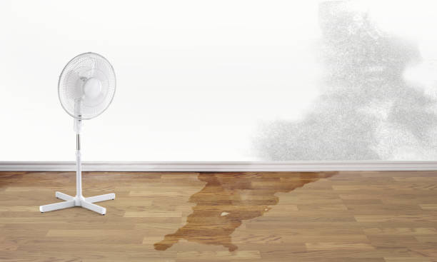Best Water damage restoration company  in South Wilton, CT