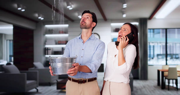 Best Flooded house restoration  in South Wilton, CT