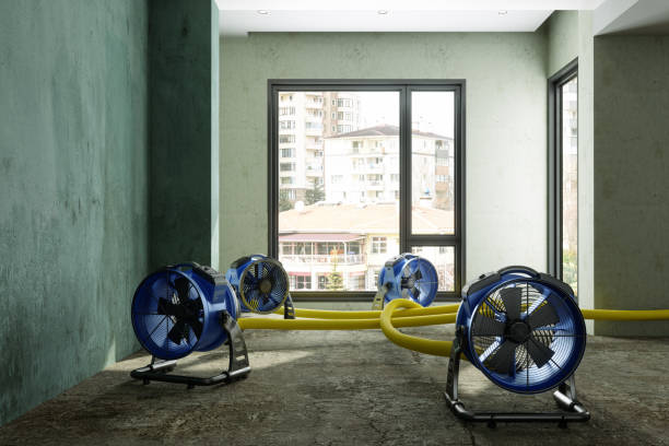 Best Professional water damage repair  in South Wilton, CT